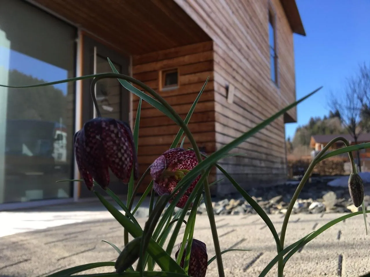 Apartment Gaestewohnung Zum Atelier Immenstadt im Allgaeu